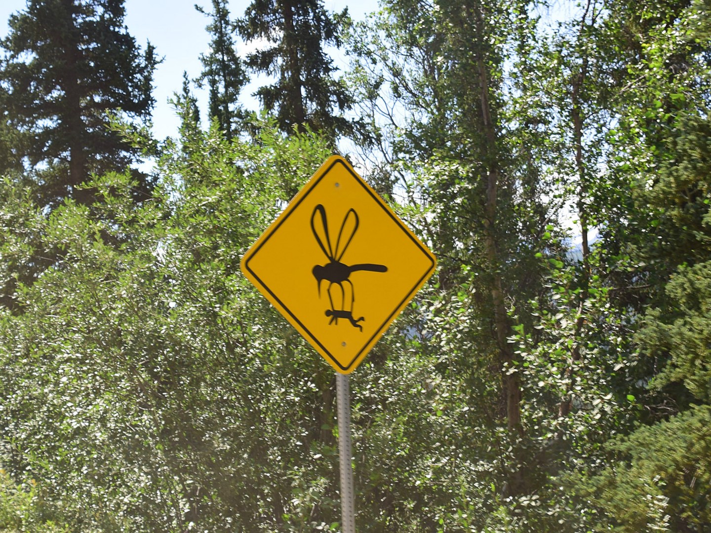 Road Sign near Denali National Park
