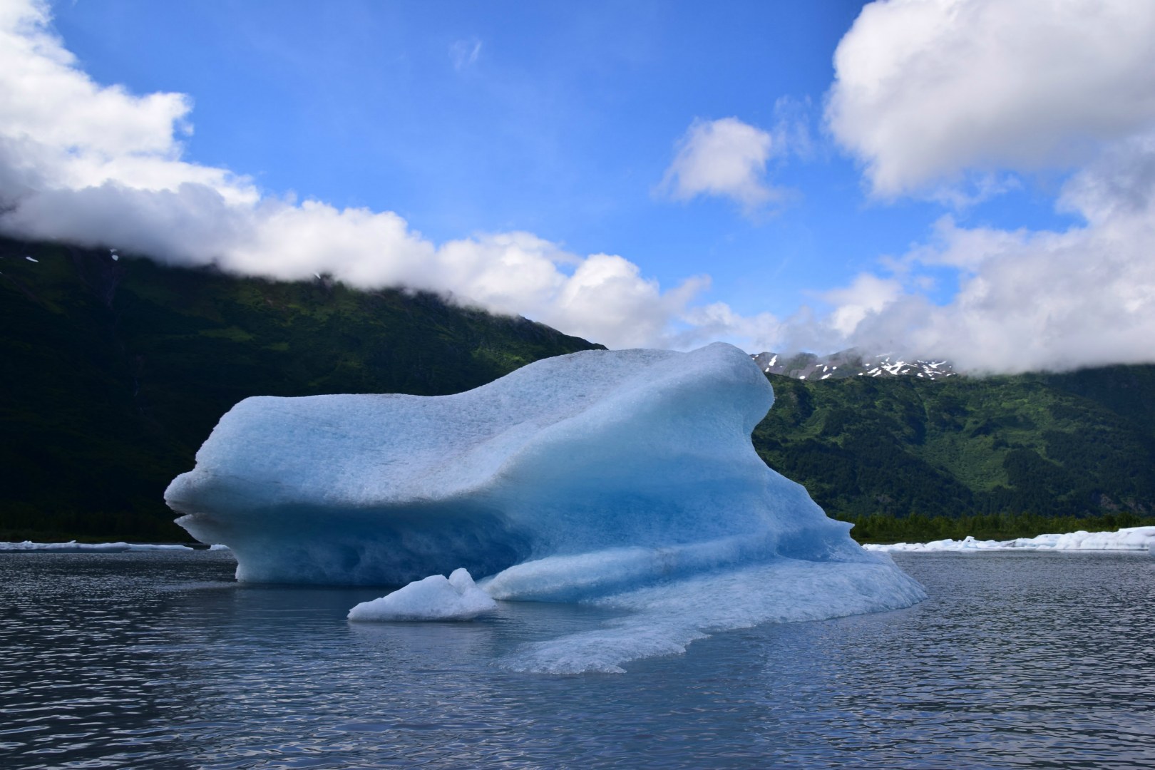 Iceberg near Spencer Glacier