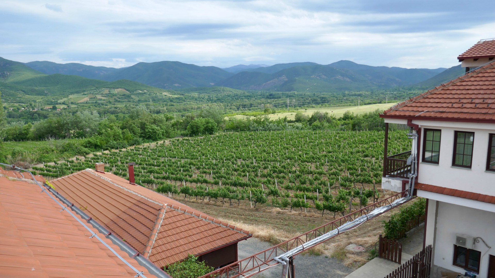 Popova Kula Winery, Demir Kapija, North Macedonia