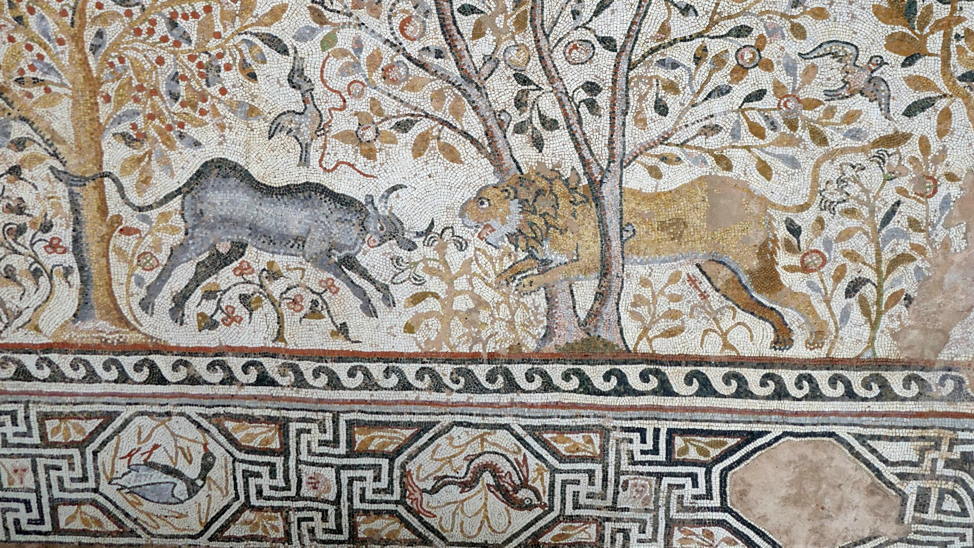 Mosaic, Heraclea Lyncestis, North Macedonia
