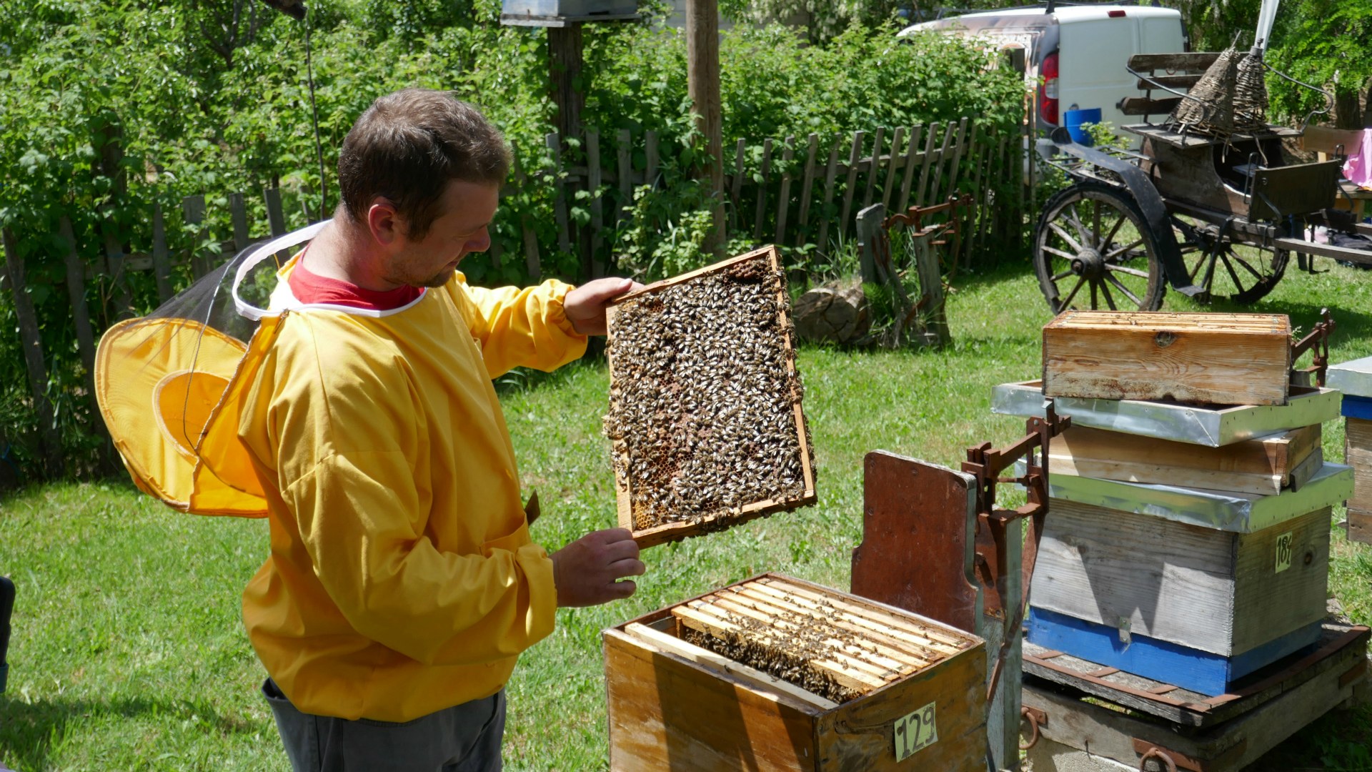 Beekeeping demonstration, Dihovo, North Macedonia