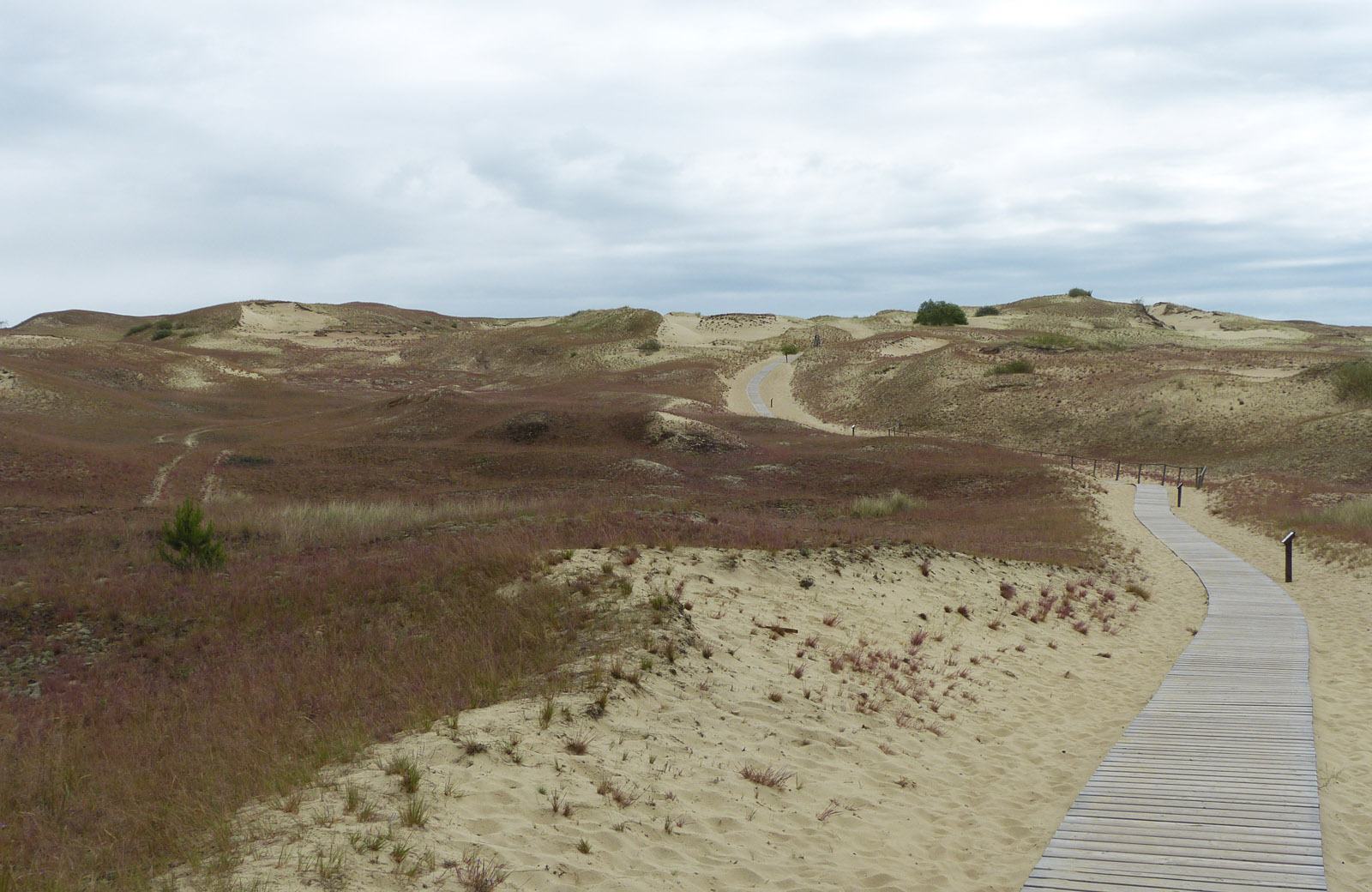 Grey Dune, Curonian Spit, Lithuania
