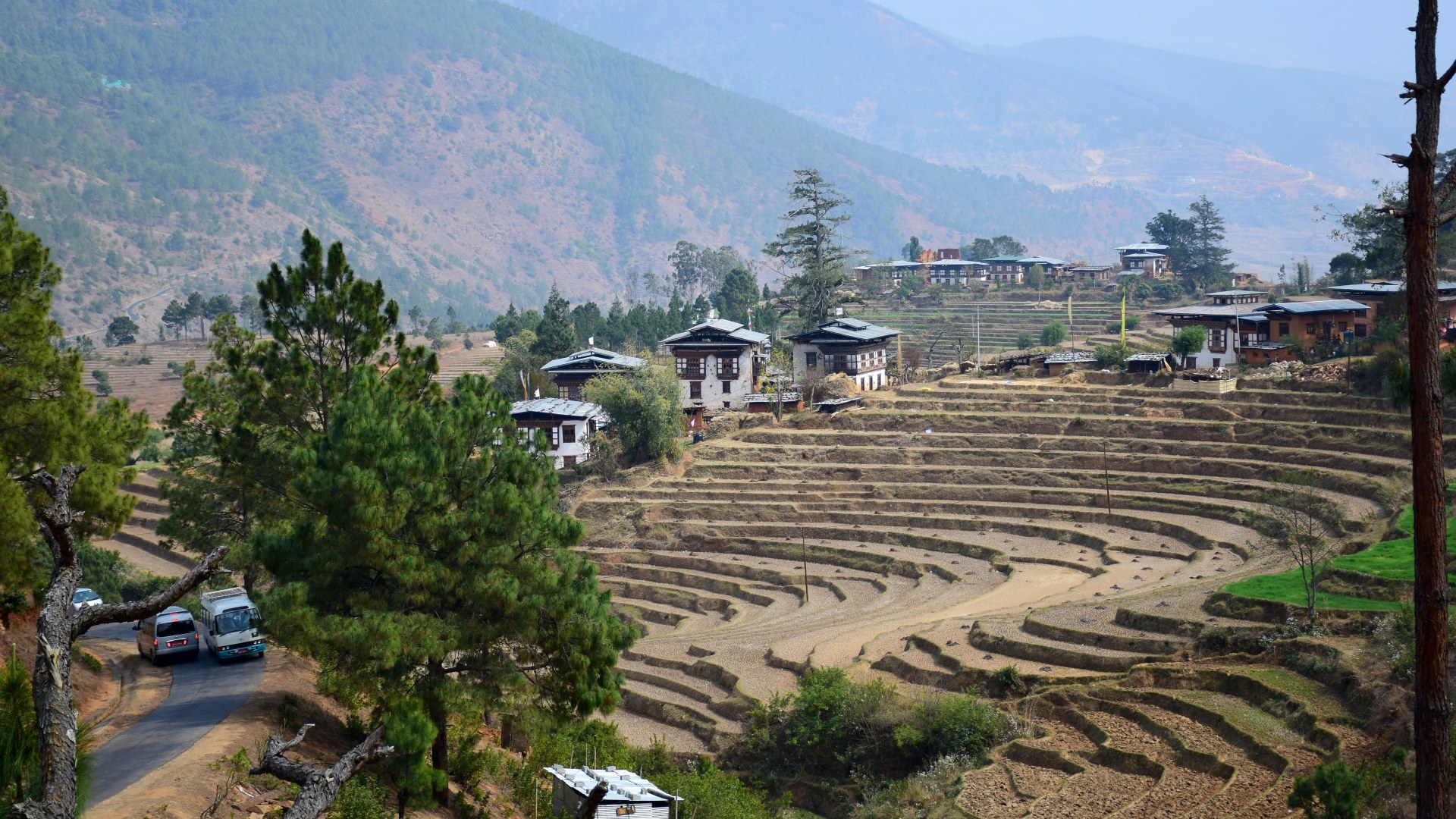 Terraces, Punakha