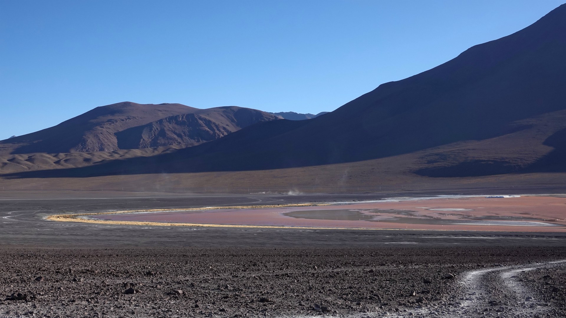 Laguna Colorada, Eduardo Avaroa National Park