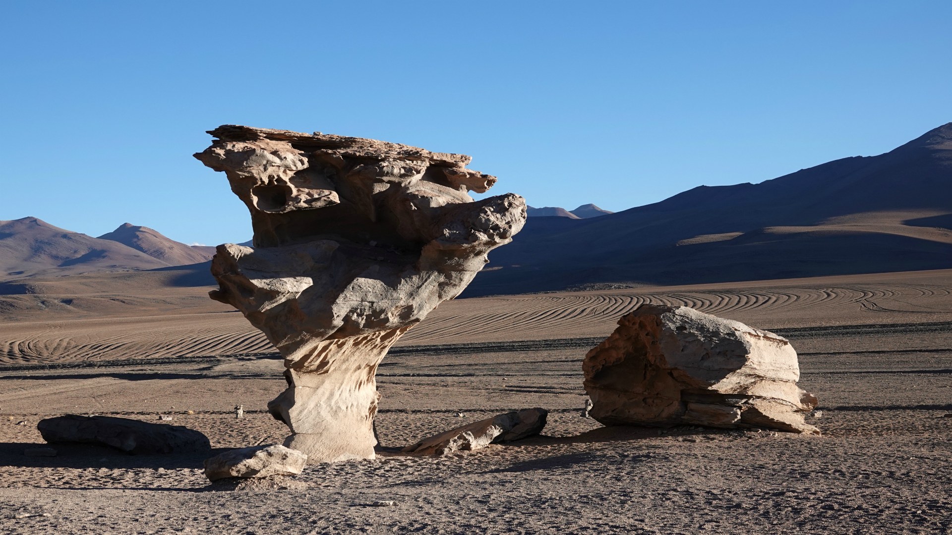Stone Tree, Eduardo Avaroa National Park