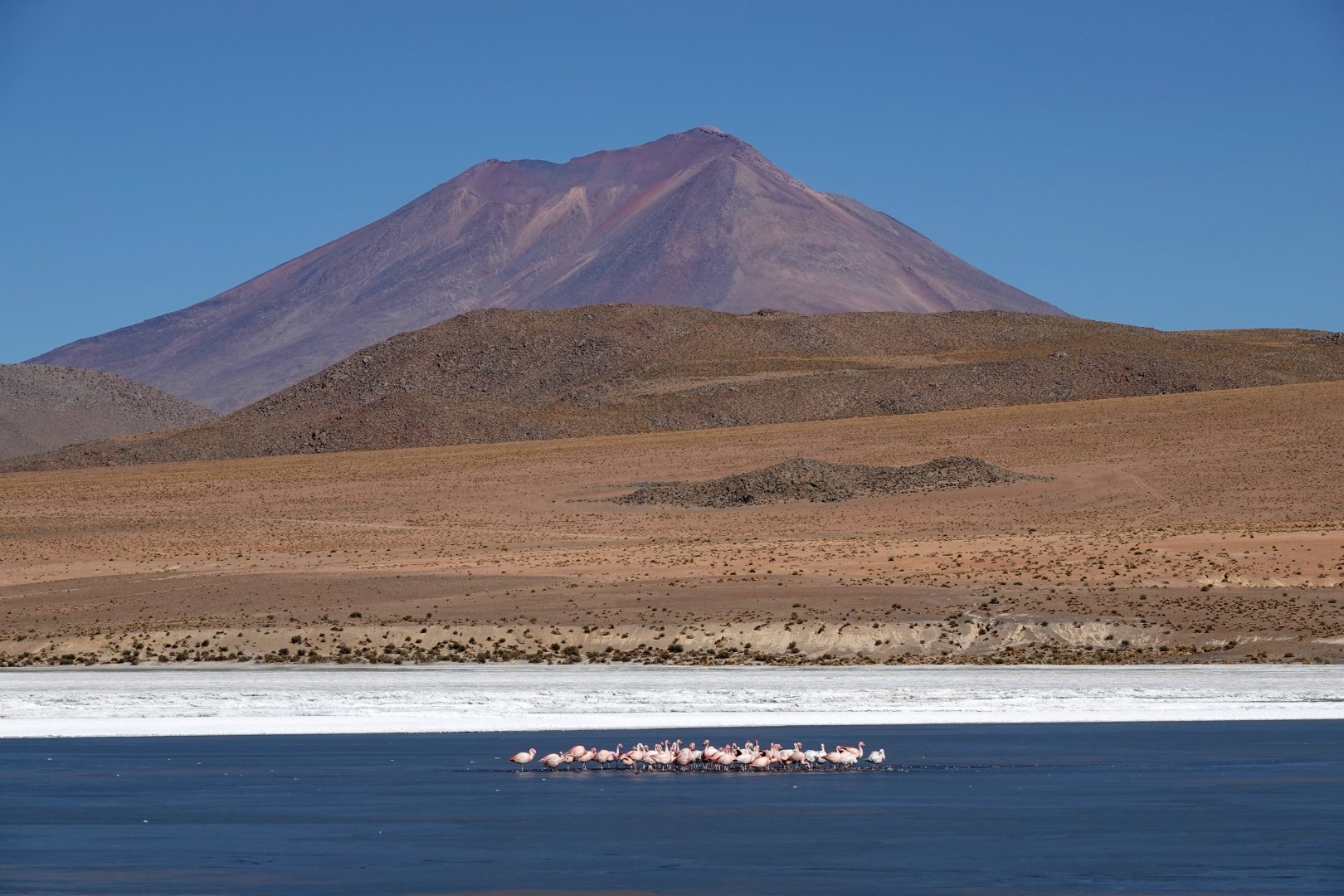 Laguna Canapa, Eduardo Avaroa National Park