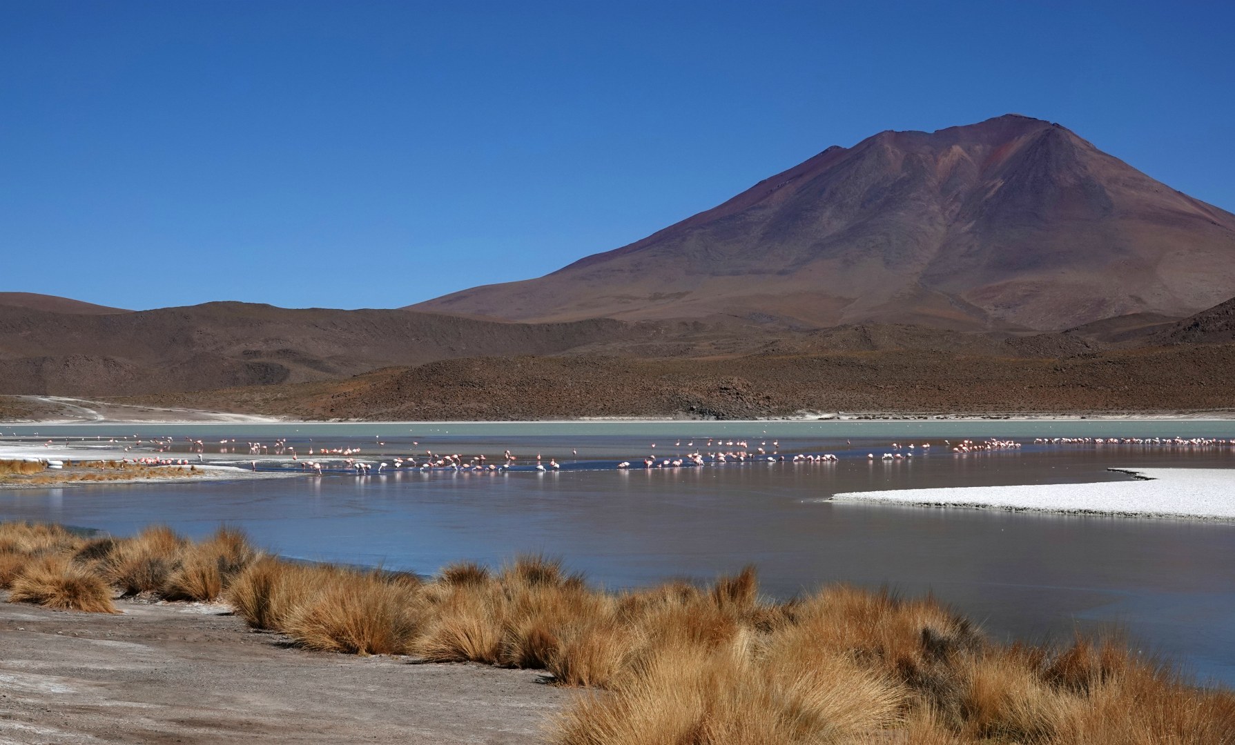 Laguna Hedionda, Eduardo Avaroa National Park