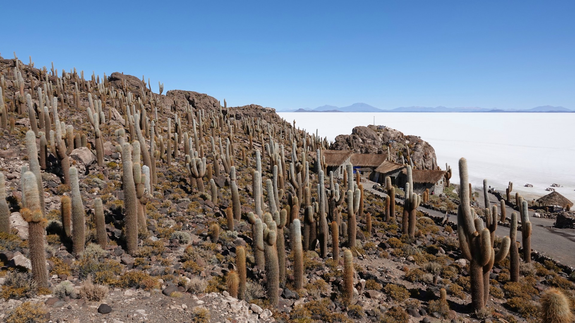 Isla Incahuasi, Salar de Uyuni