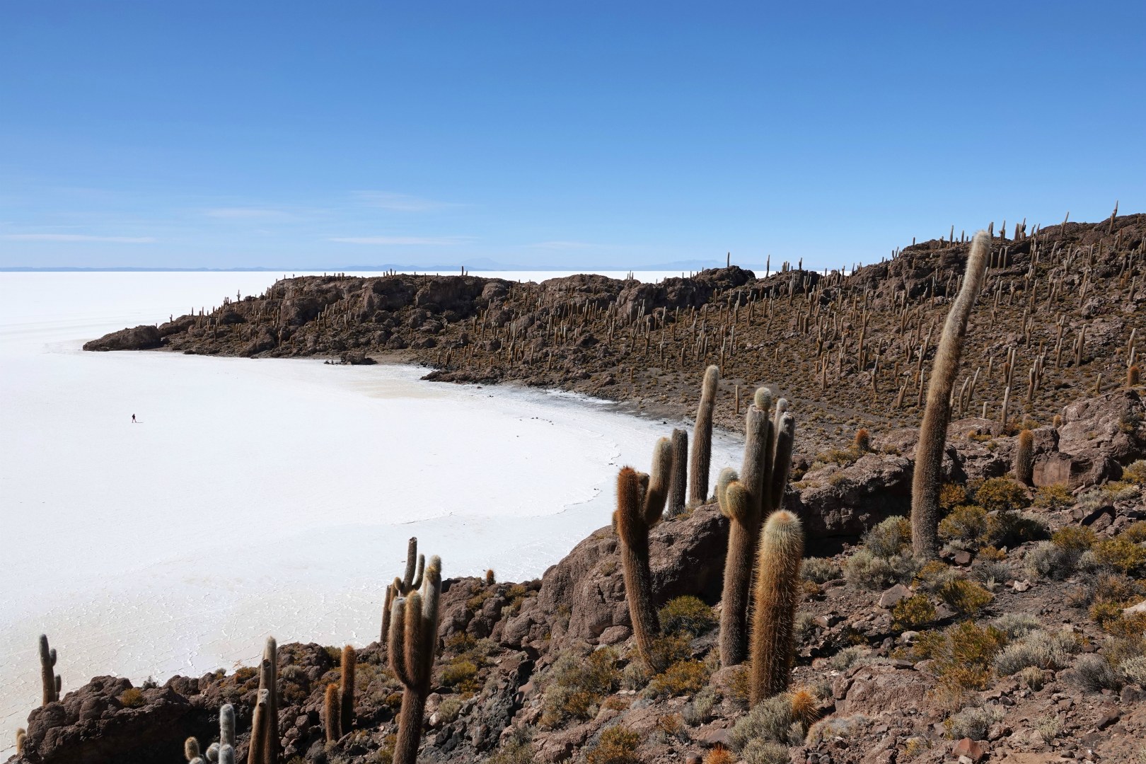 Isla Incahuasi, Salar de Uyuni
