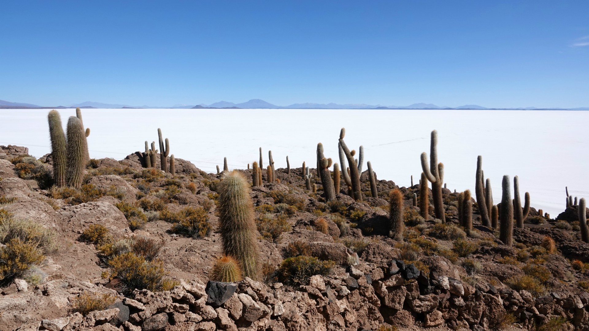 Isla Incahuasi, Salar de Uyuni