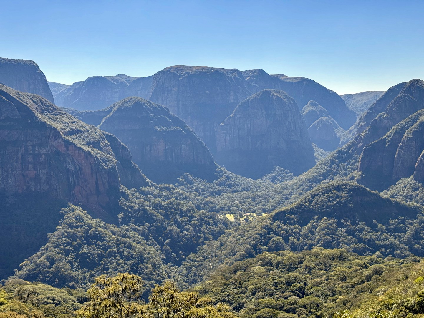 Amboro National Park
