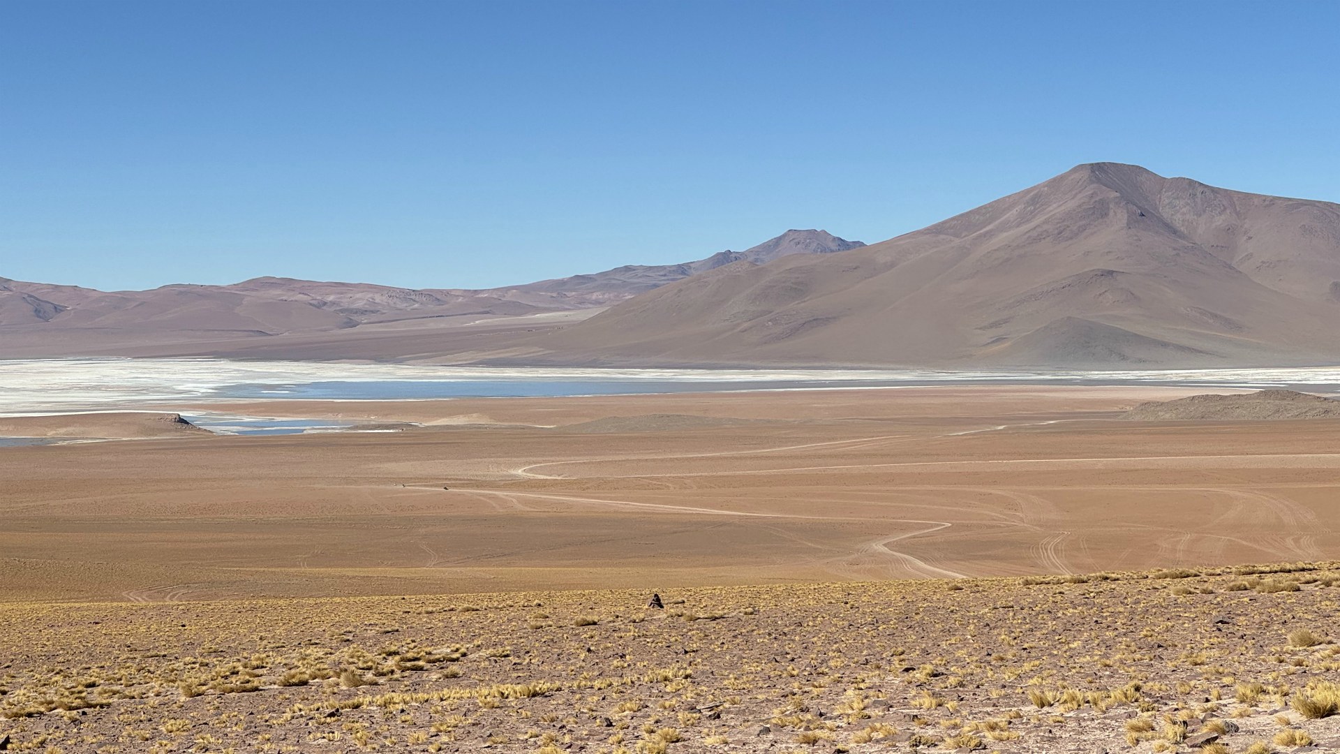 Salar de Chalviri, Eduardo Avaroa National Park