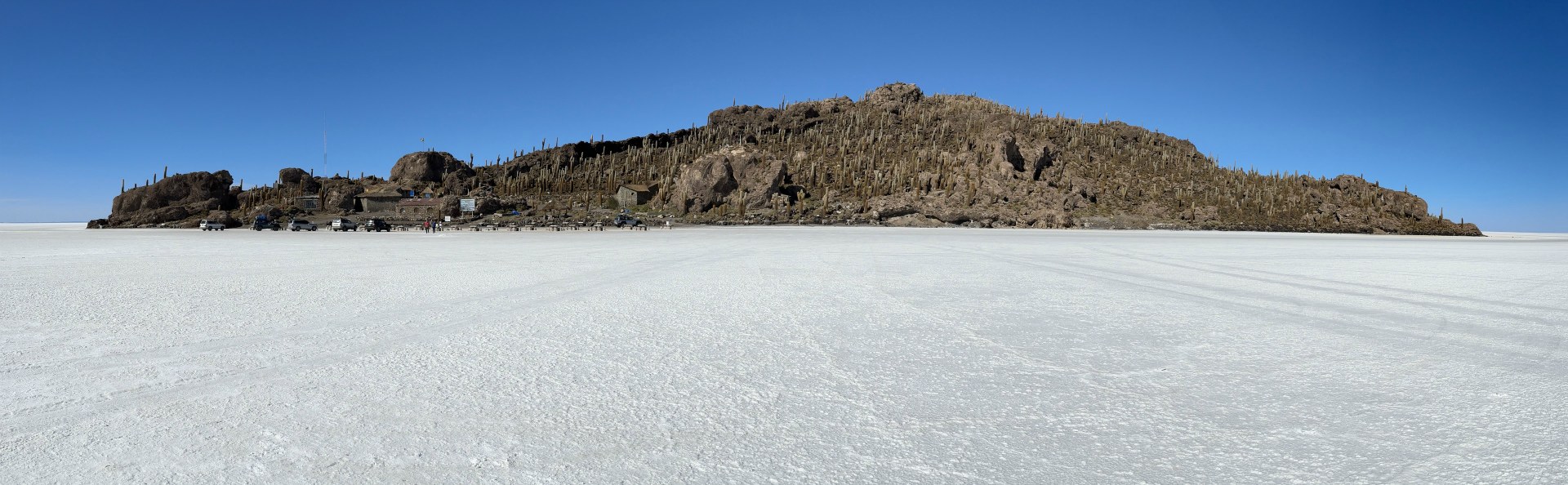 Isla Incahuasi, Salar de Uyuni