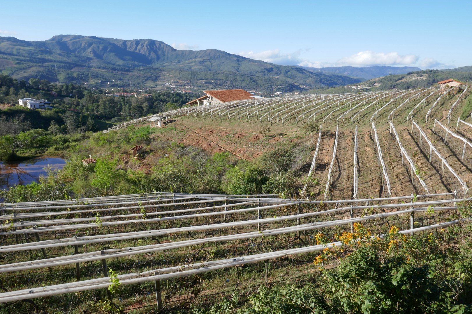 Uvairenda Vineyard, Samaipata