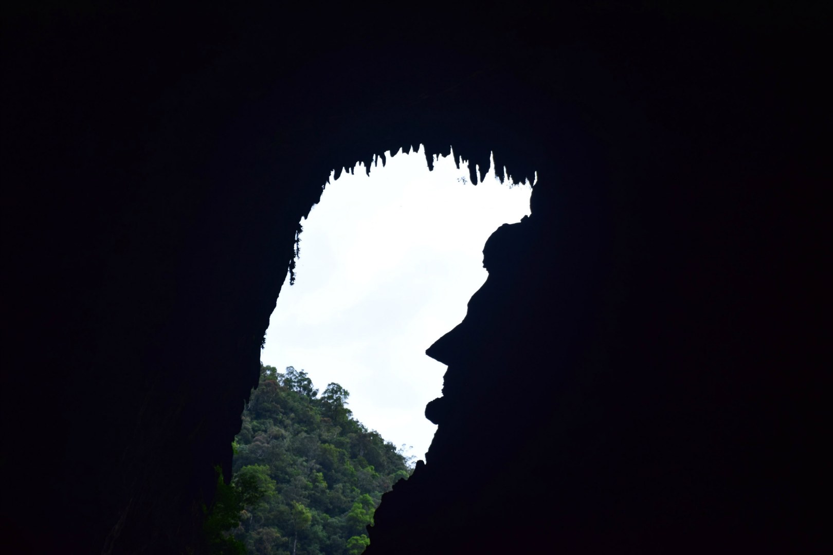 "Abraham Lincoln", Lang Cave, Gunung Mulu National Park