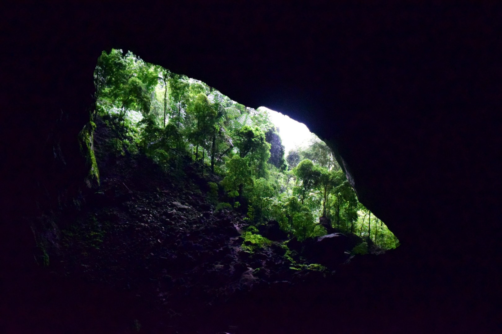 Garden of Eden, Lang Cave, Gunung Mulu National Park