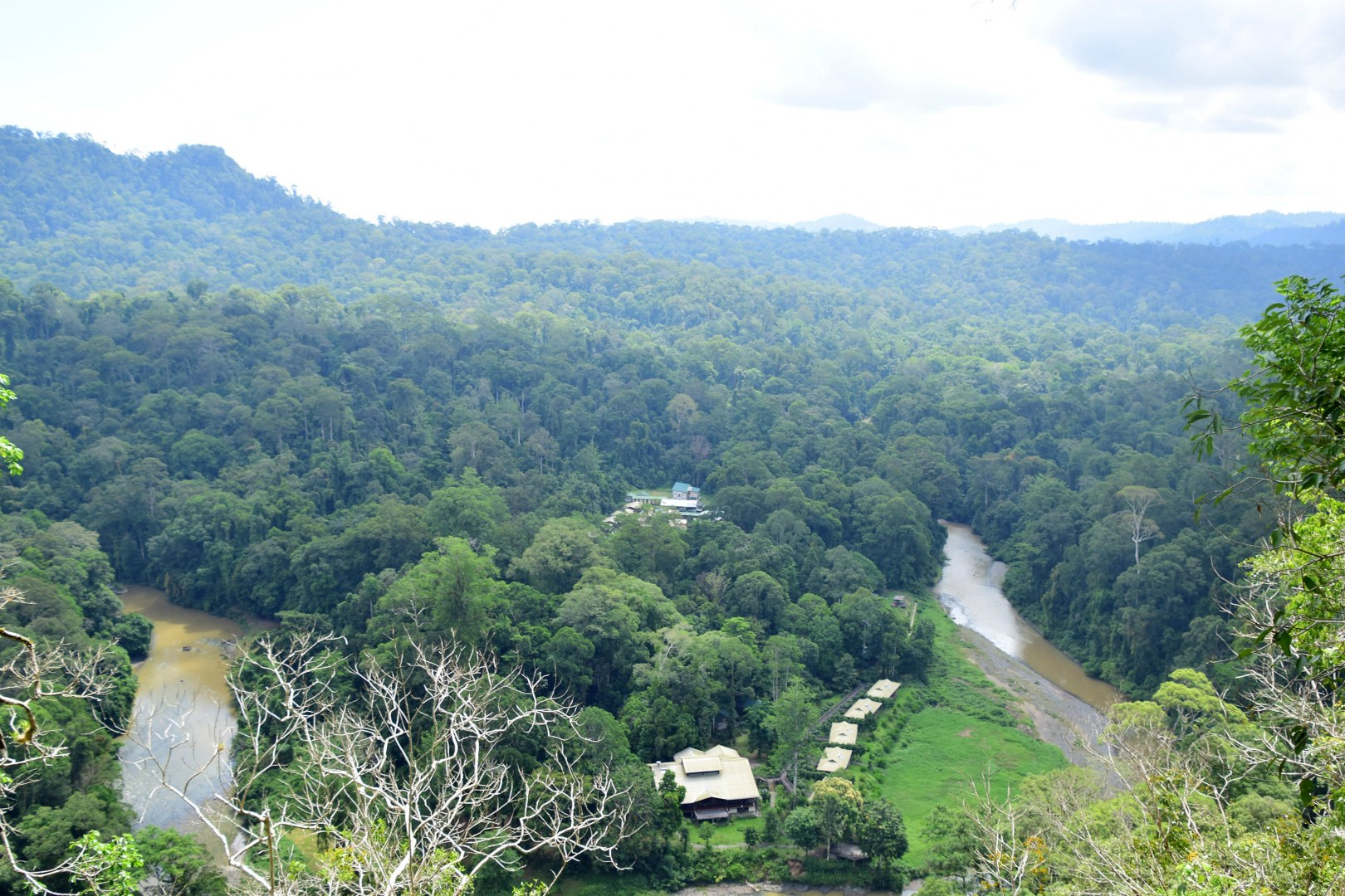 View over Danum Valley