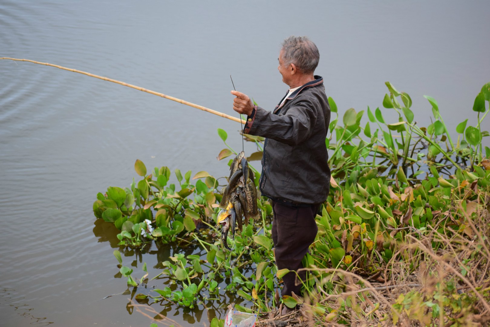 Fisherman, Northern Pantanal