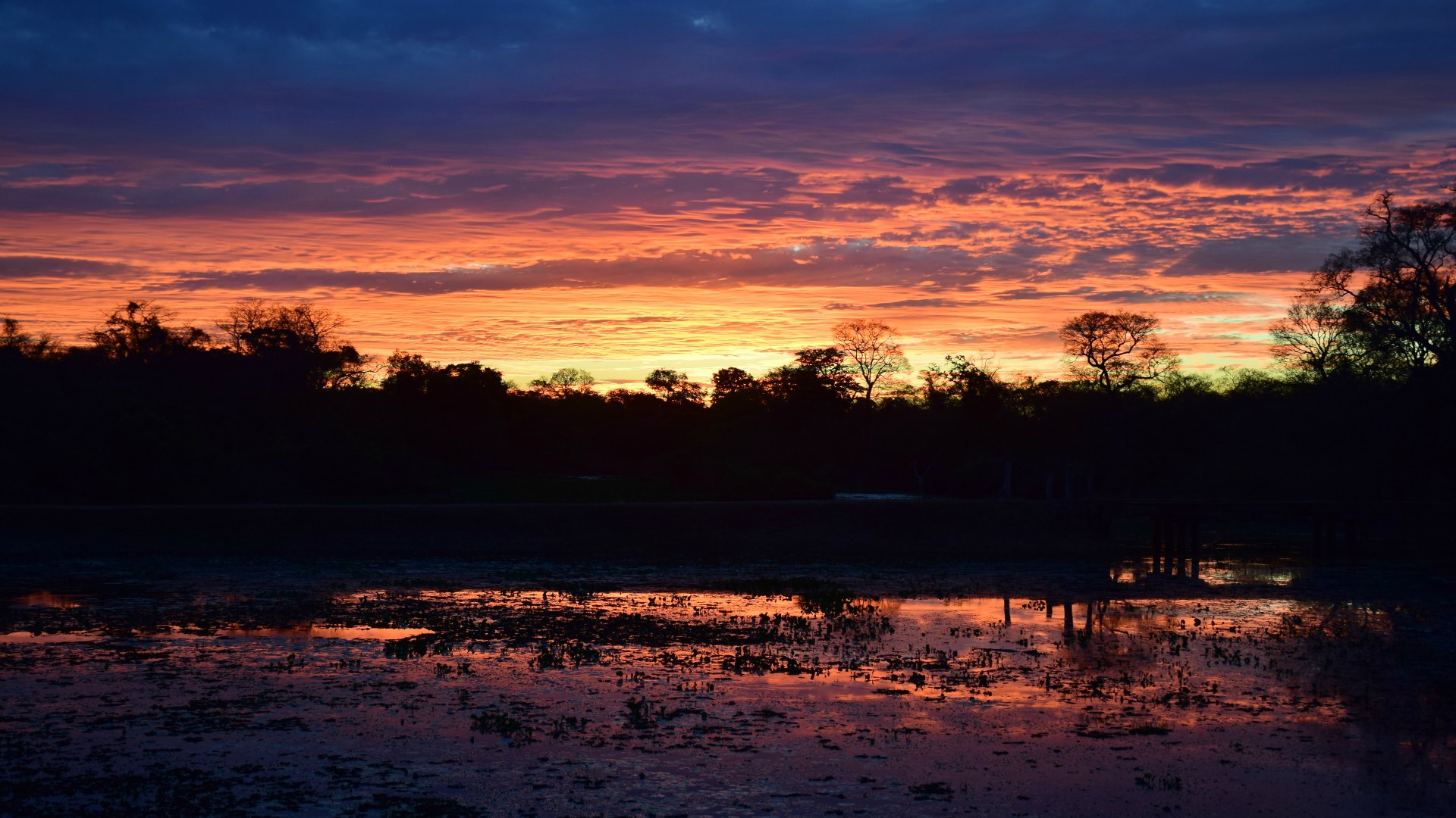 Sunset, Northern Pantanal
