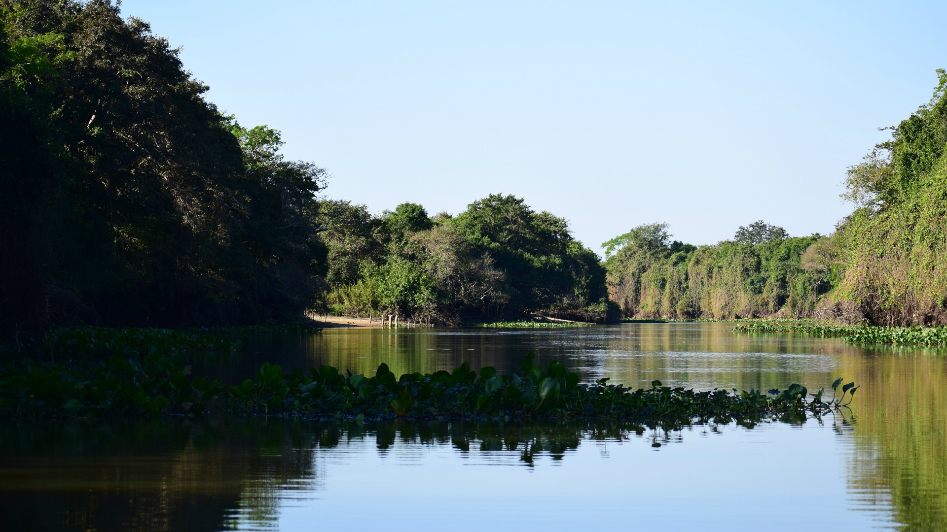 Central Pantanal