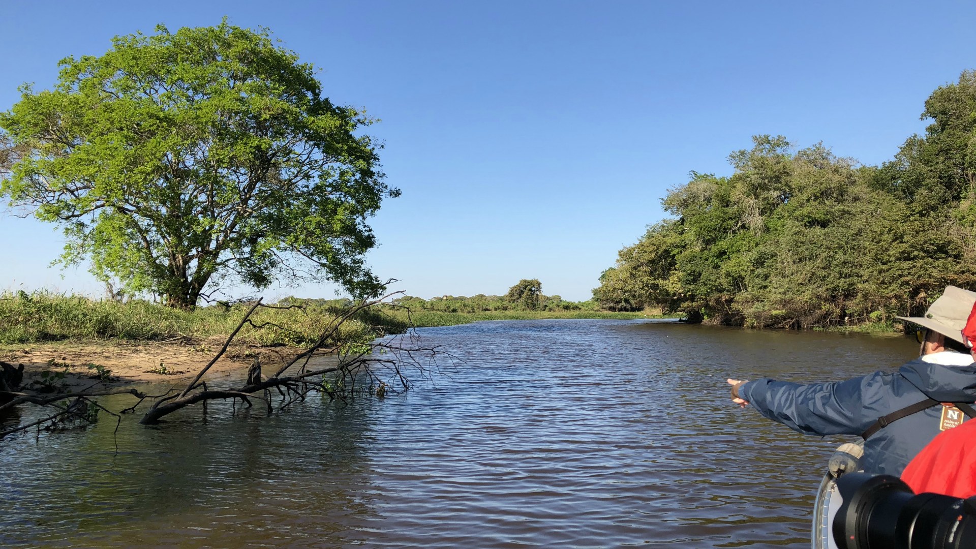 Searching for wildlife, Central Pantanal