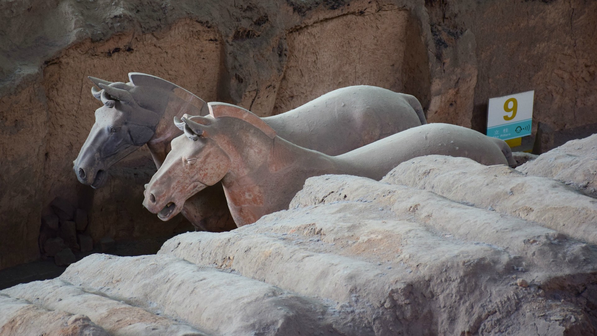 Terracotta horses, Xi'an