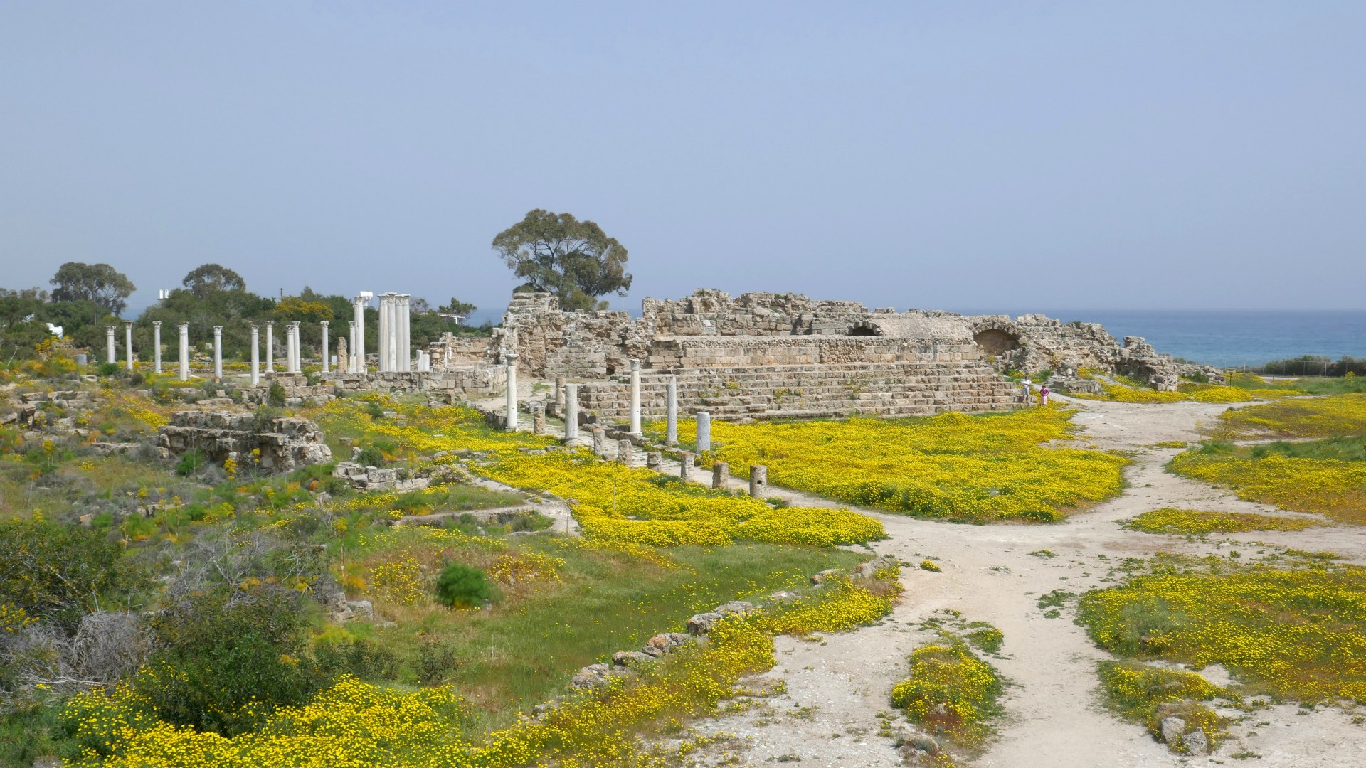 Salamis Ruins