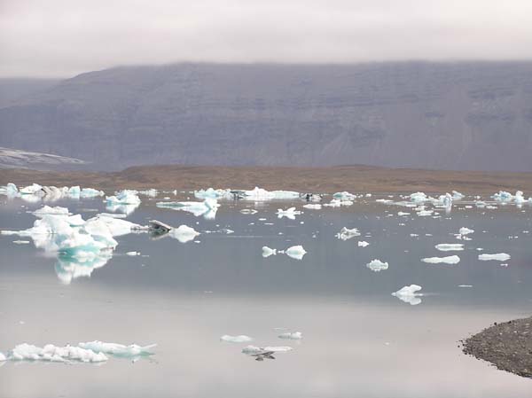Jokulsarlon 6