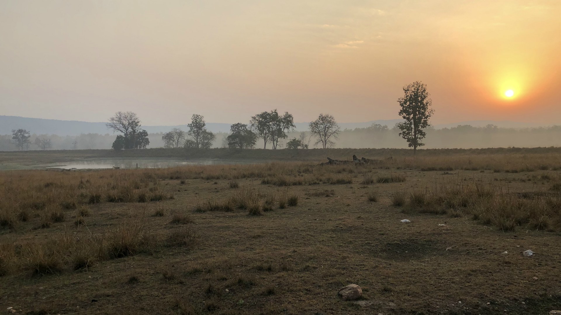 Sunrise, Kanha National Park