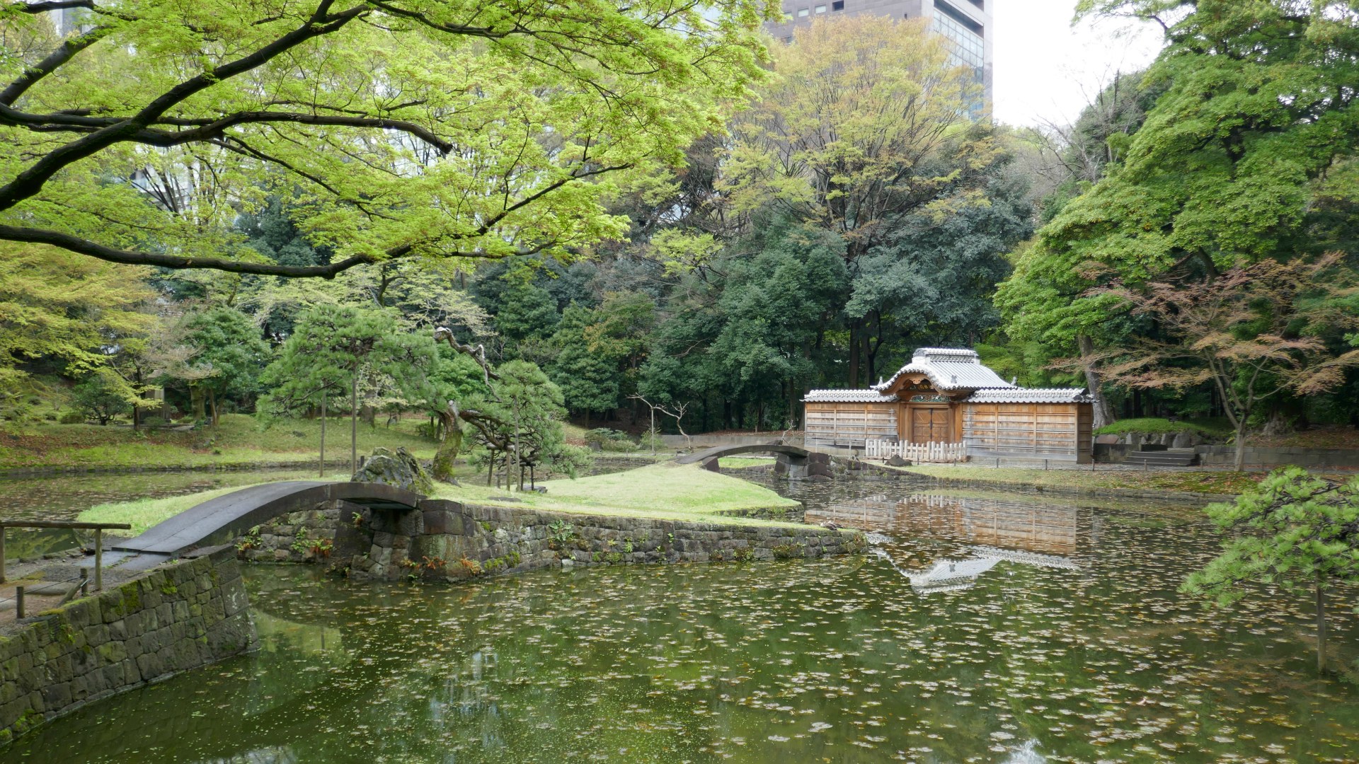Koshikawa Koraku-en Garden, Tokyo
