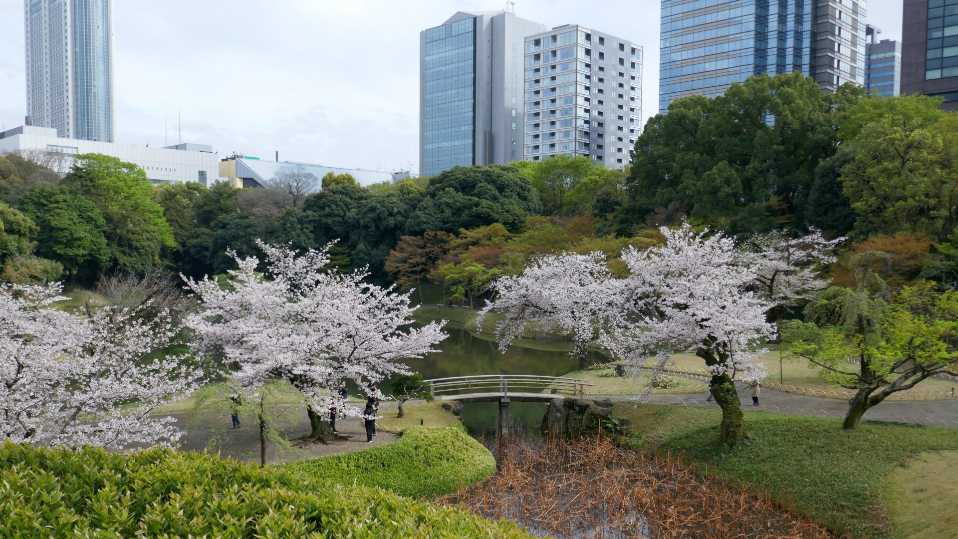 Koshikawa Koraku-en Garden, Tokyo
