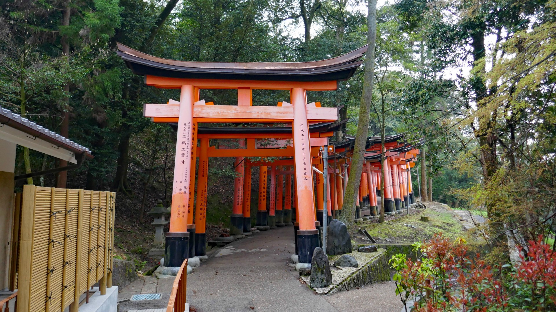 Torii Gates, Fushimi Inari-taisha Shrine, Kyoto