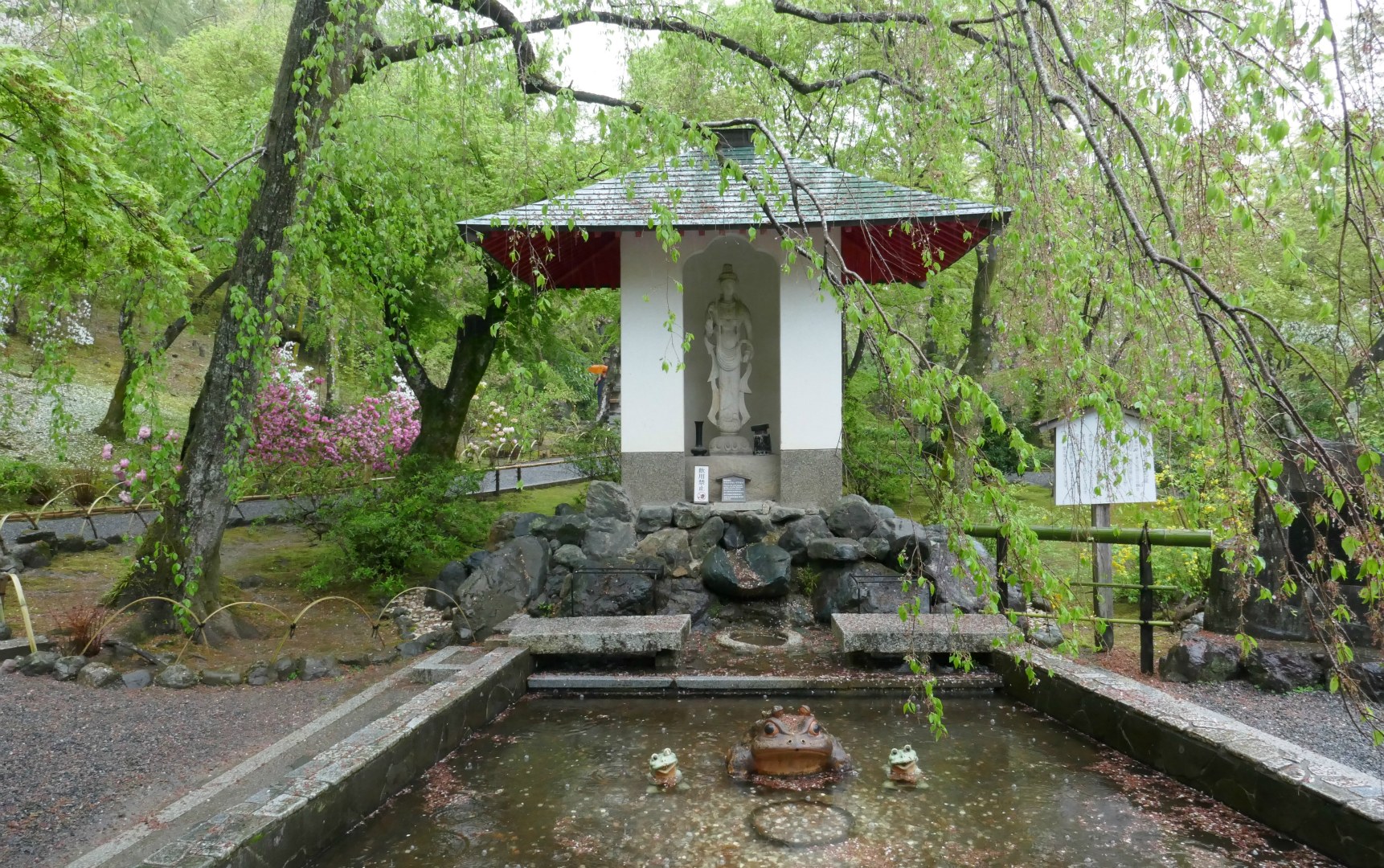 Tenryu-ji Temple Gardens, Kyoto