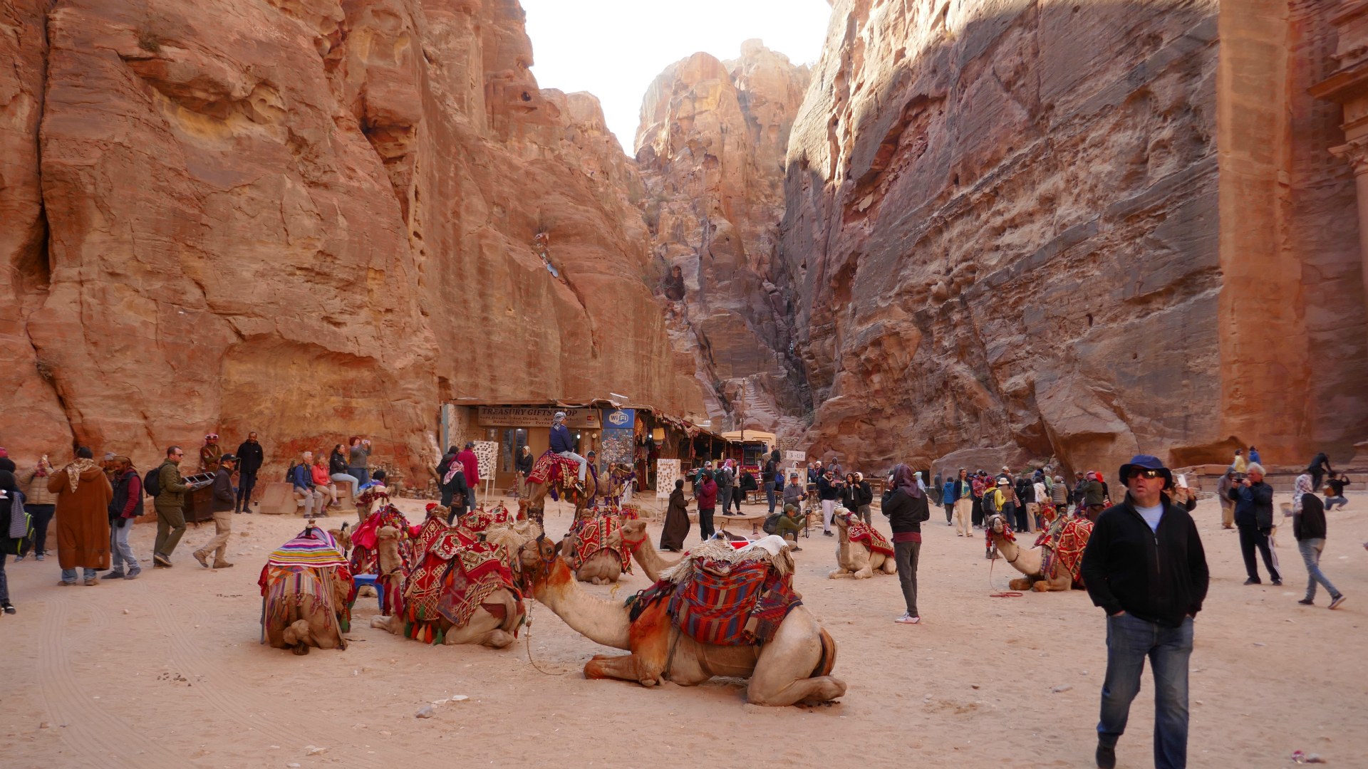 Camels outside The Treasury, Petra