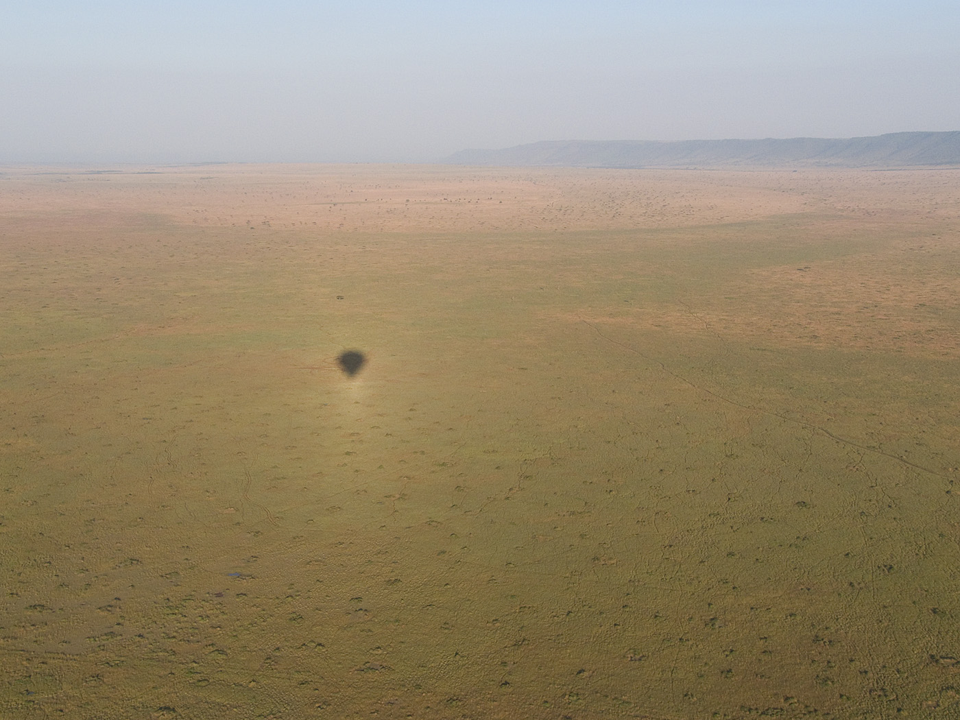 View from Hot Air Balloon, Masai Mara
