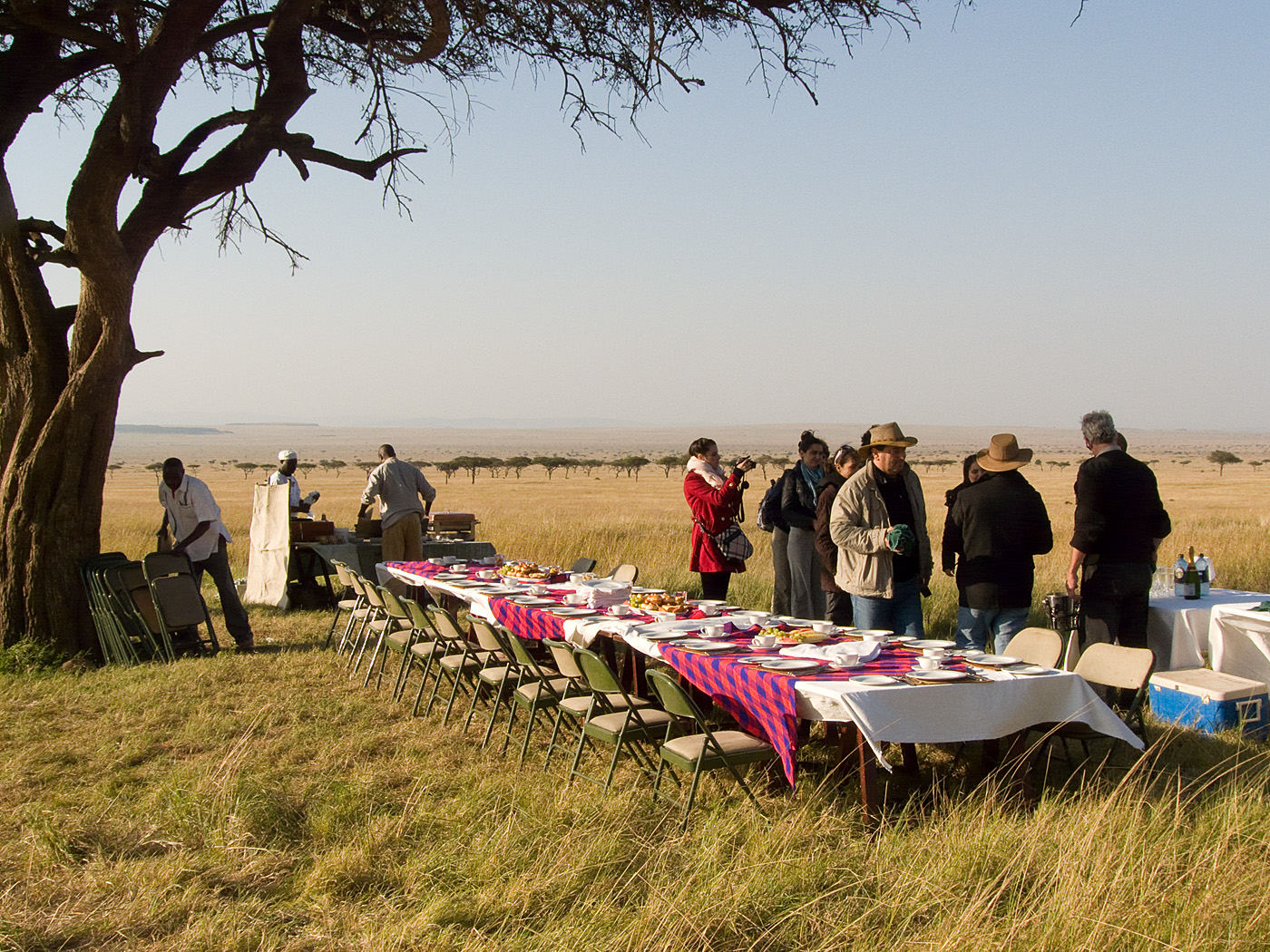 Champagne Breakfast after Hot Air Balloon Flight, Masai Mara