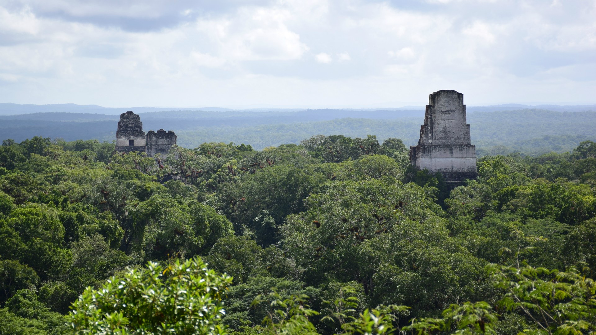 Temples I, II and III, Tikal, Guatemala