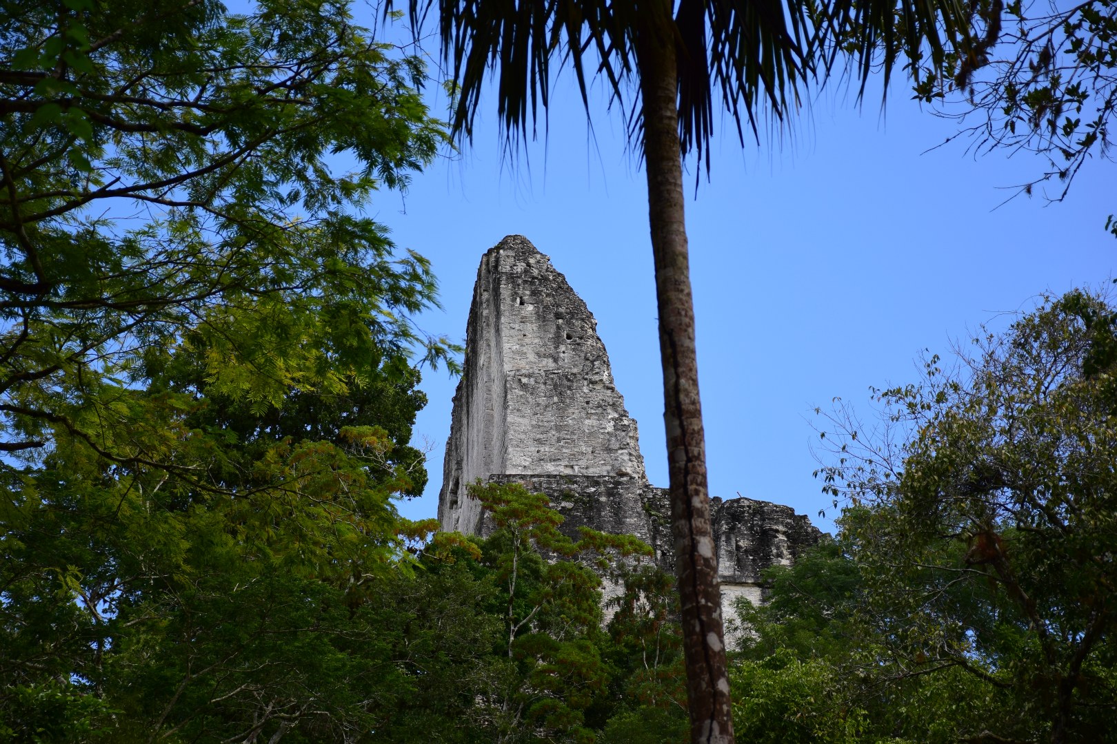 Temple III, Tikal, Guatemala