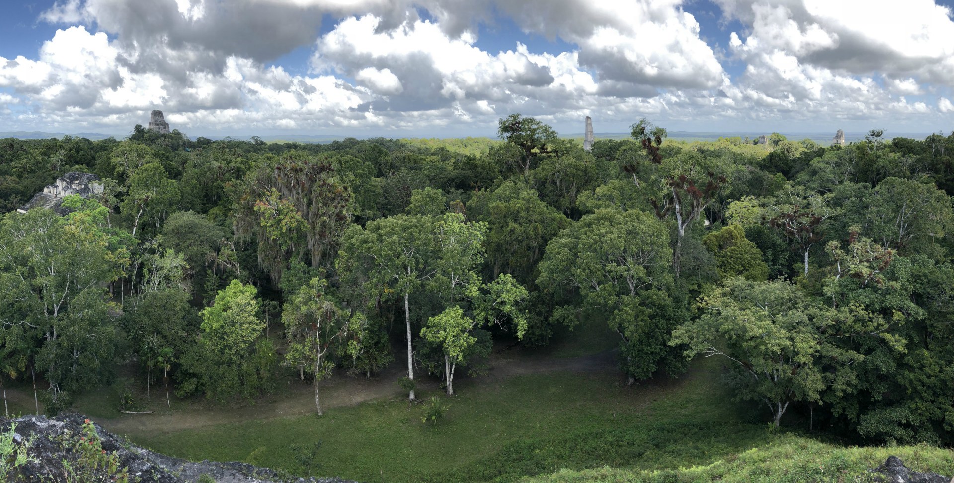 View from Grand Pyramid, Tikal, Guatemala