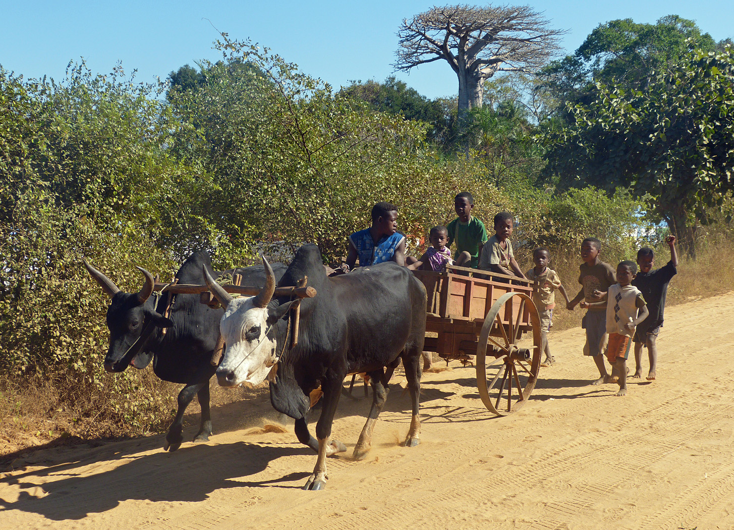 Local people near Kirindy Reserve