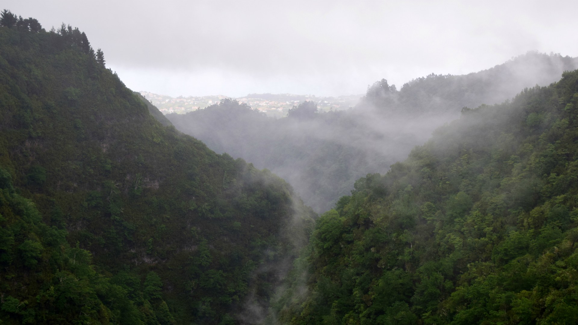 View from Levada do Caldeirao Verde