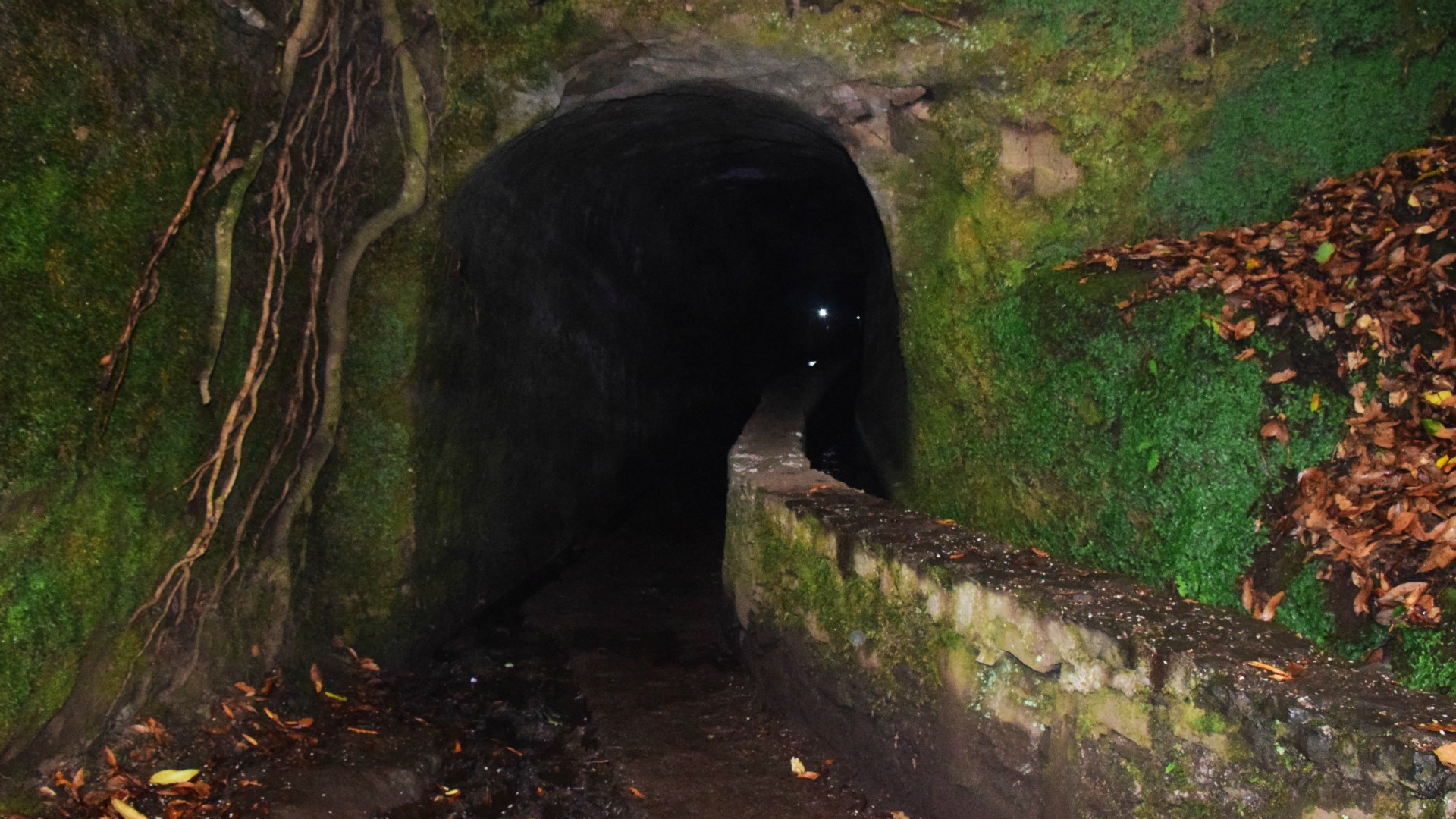 Tunnel, Levada do Caldeirao Verde