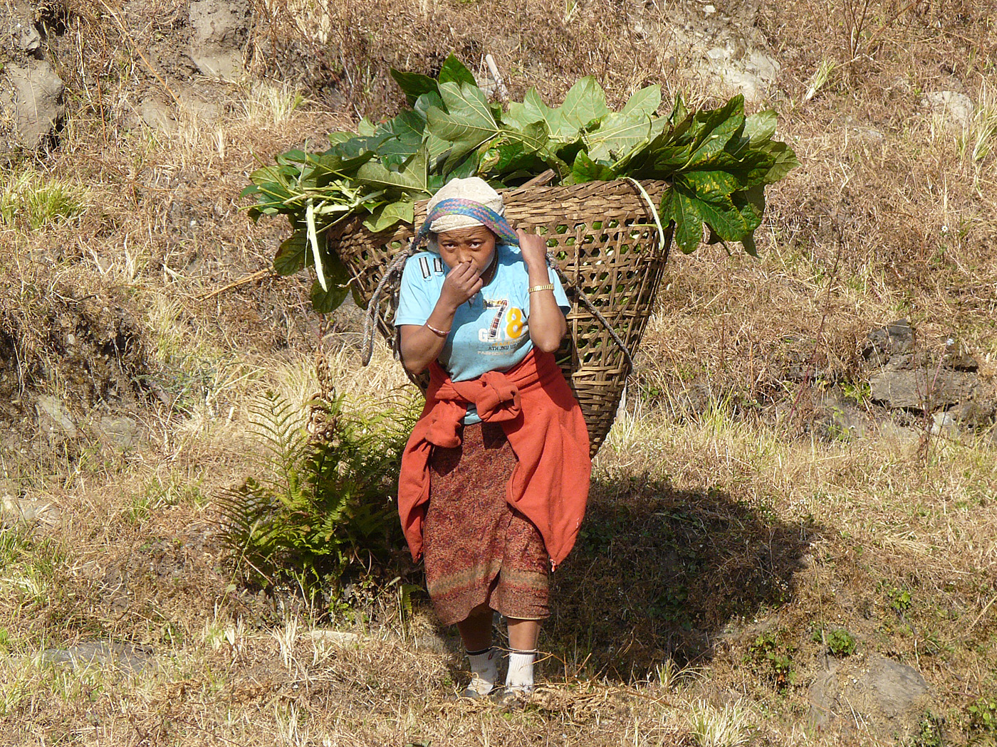 Farm worker, Ghandruk