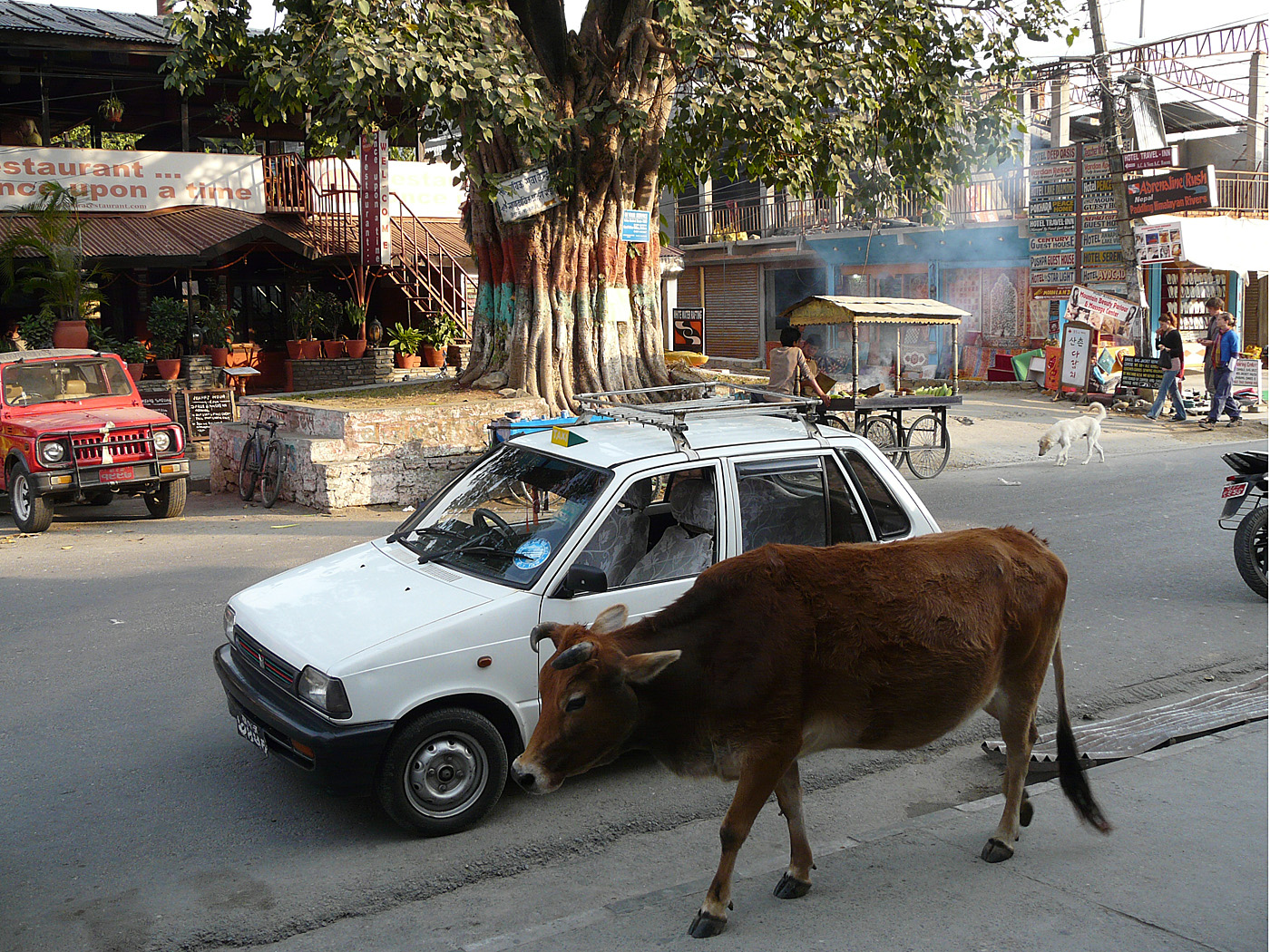 Street scene, Pokhara