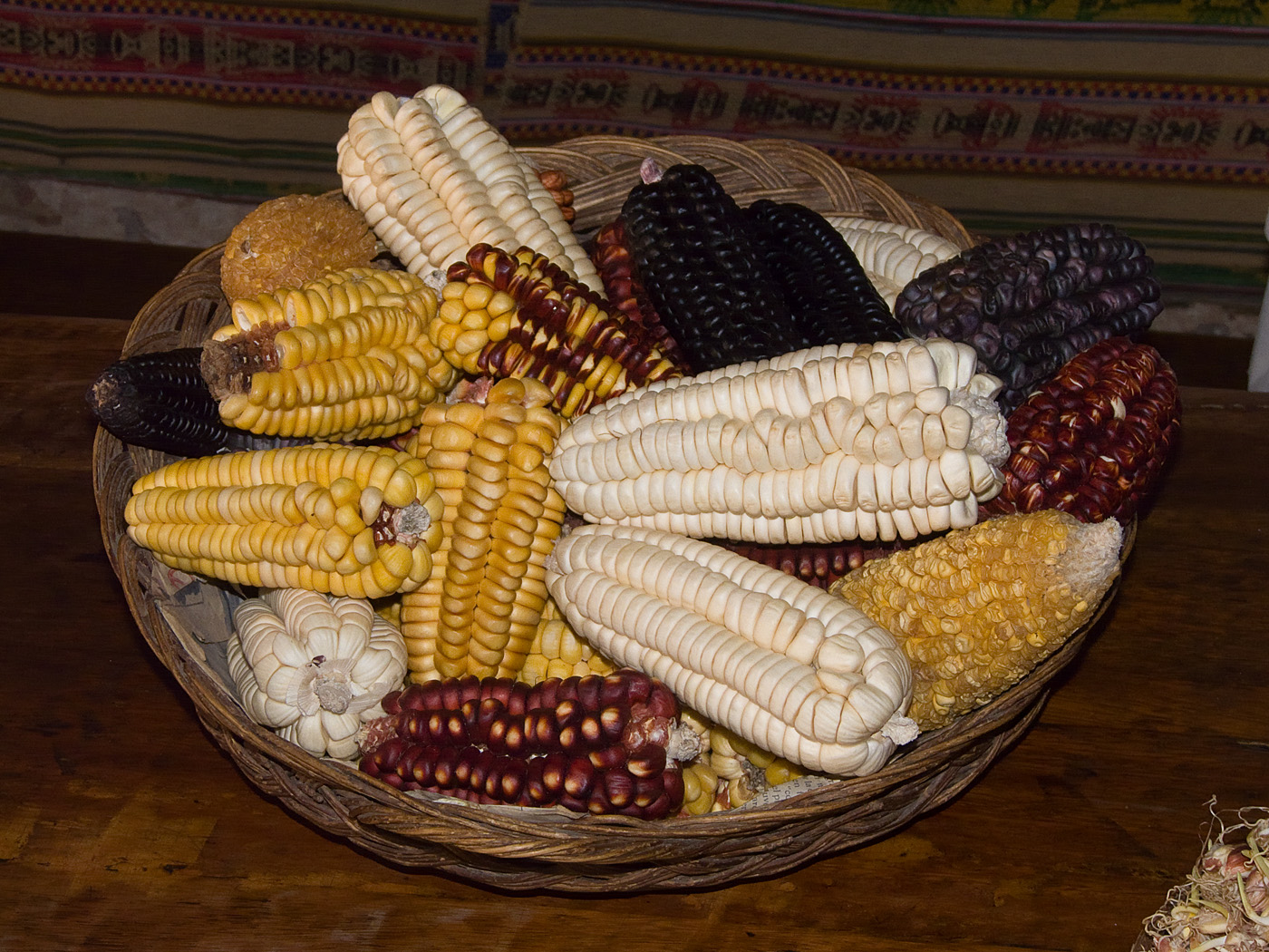 Selection of corn