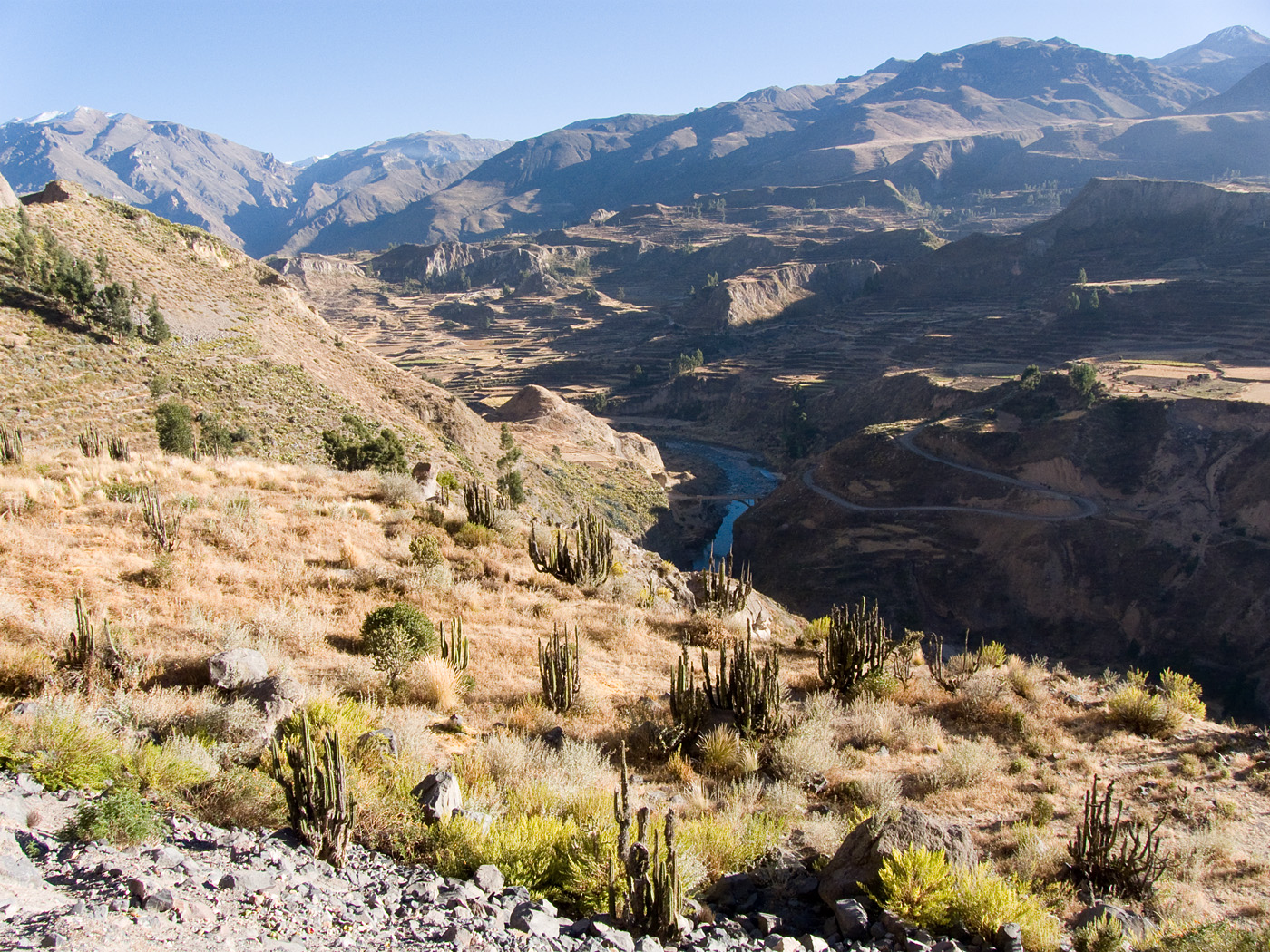Colca Valley from Mirador Choquetico