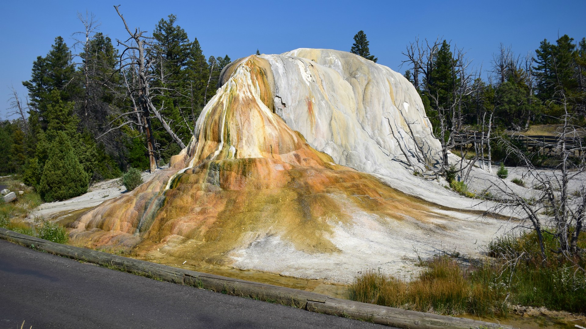 Orange Spring Mound, Mammoth Hot Springs, Yellowstone National Park