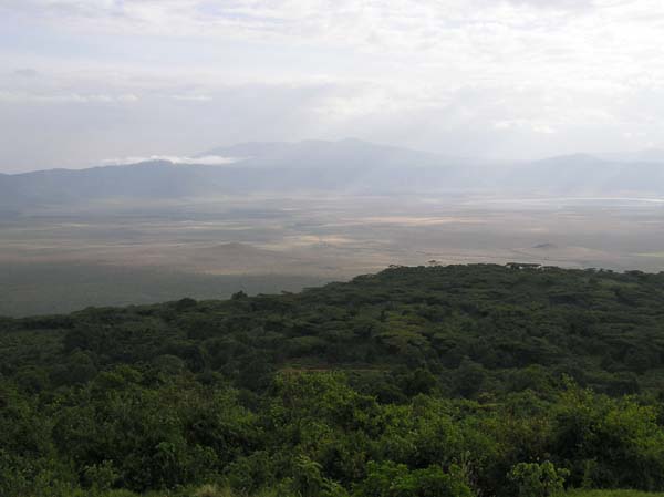 Crater View Ngorongoro