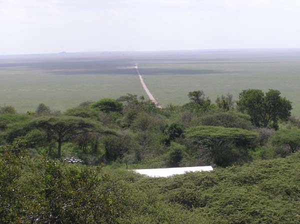 Endless Plain Serengeti