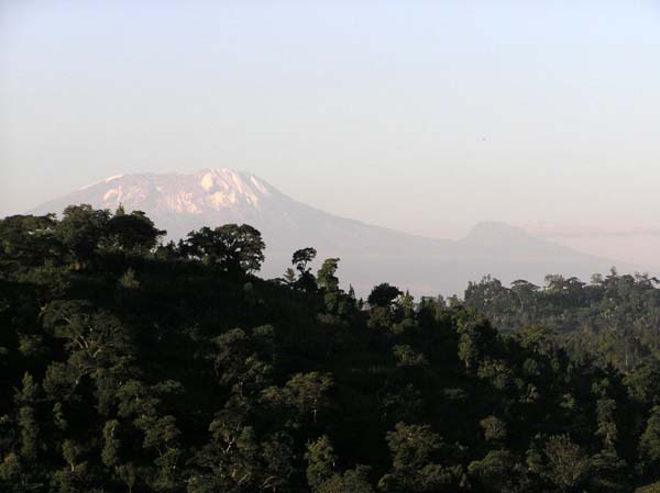 Mt Kilimanjaro